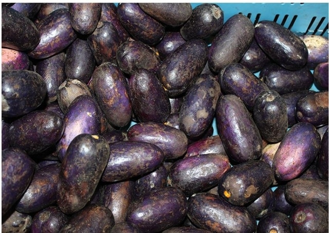African Pear