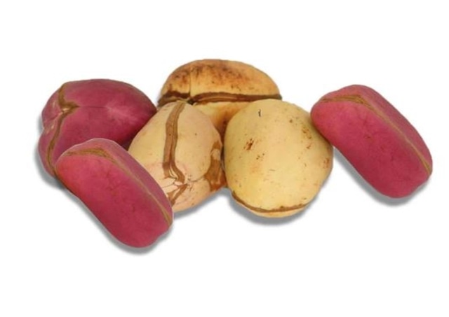 Kola nut